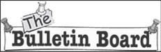 Alt Text for Image