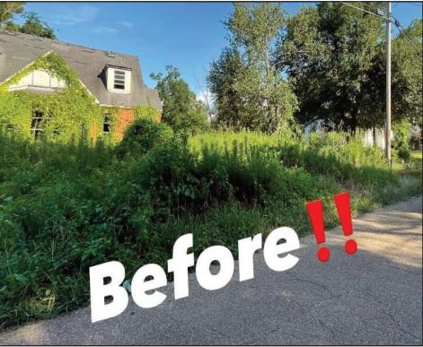 Blighted properties
