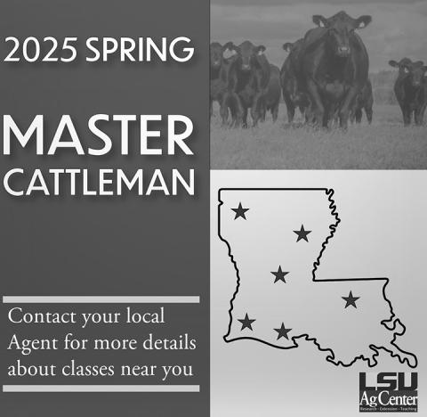 2025 Master Cattlemen Program in Winnsboro