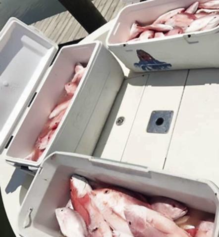 Wildlife and Fisheries Agents find illegal immigrants caught violating Louisiana fishing laws