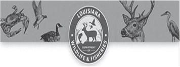 LDWF Enforcement Division Participating in “Safe Boating Week” May 18-24