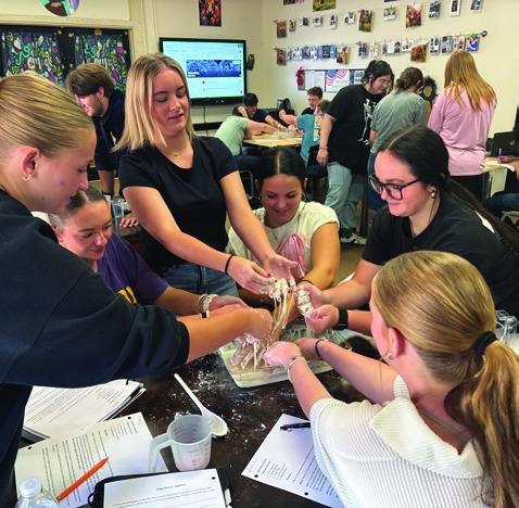 Science in action at Harrisonburg High
