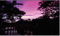 Northern lights in Catahoula