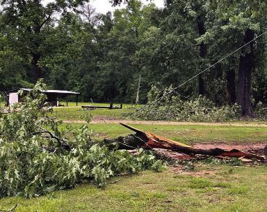 Storms cause flash flooding and downed trees