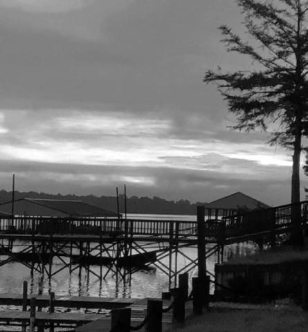 ATrue Fisherman's Paradise in our very own backyard