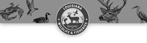 Agents cite Dequincy man for deer hunting violations in Calcasieu Parish