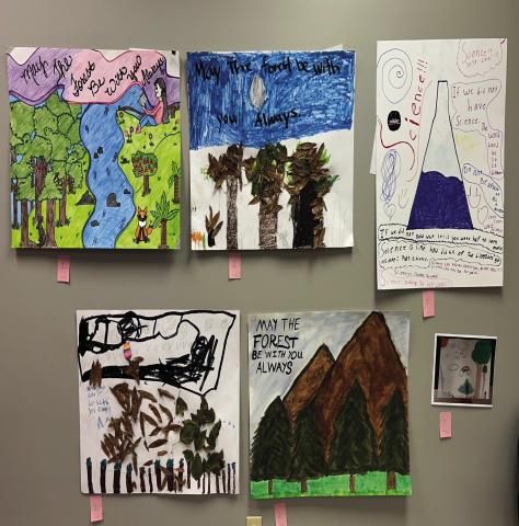 May the Forest be with you Always poster contest winners
