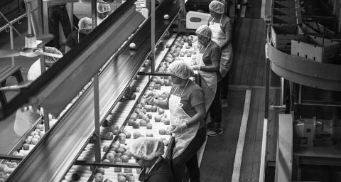 Judge stops federal program for migrant agricultural workers