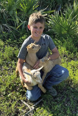 GEMAR WILEY and three little goats.