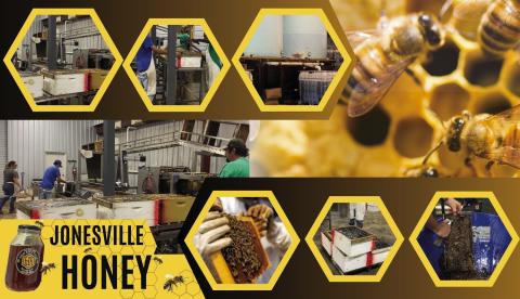 Jonesville Honey sets up shop in Jonesville