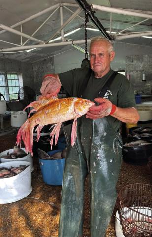 	Reel Talk: the “Catahoula Koi Fish”