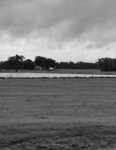 Hurricane Francine caps off rainy period, causes seed damage in Louisiana soybean
