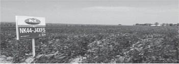 A farm in Morehouse Parish, La.